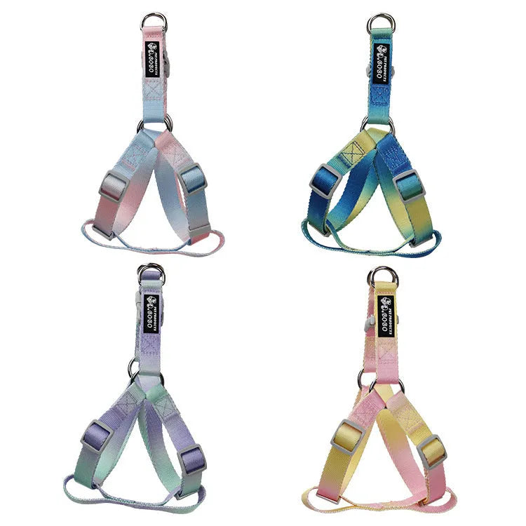Nylon dog leash set showing gradient colour options including pink blue, yellow blue, pink yellow, and purple green combinations