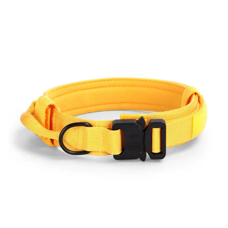 Adjustable military tactical dog collar in nylon webbing with metal buckle, 3.8cm wide, available in multiple colours and sizes