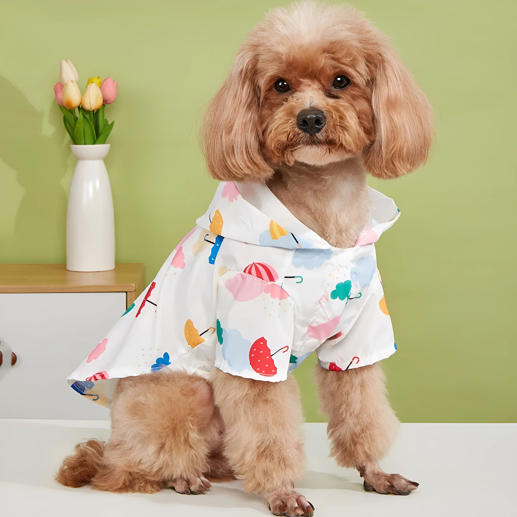 Colourful cartoon umbrella print dog raincoat in polyester, showing sizes XS, S, M, L, XL.