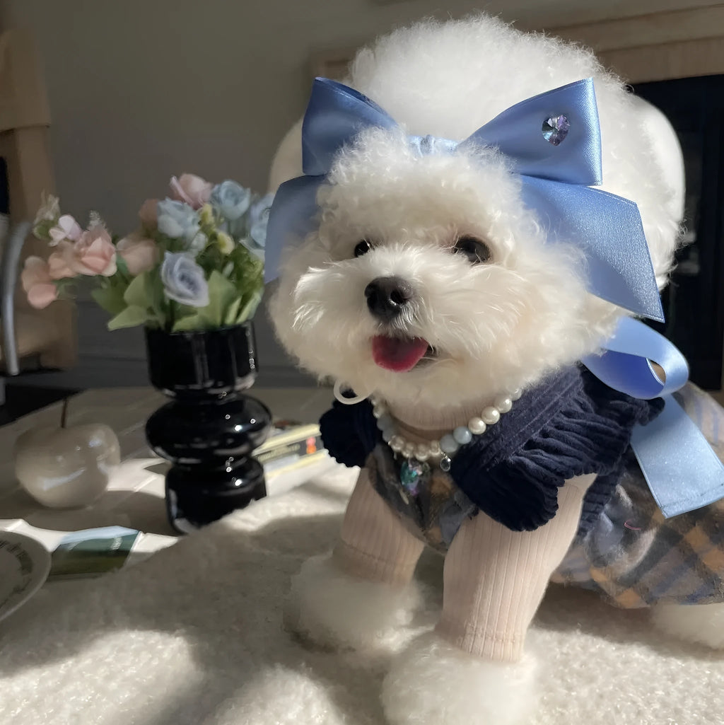 Blue princess-style adjustable bow hair band for dogs on a white background.