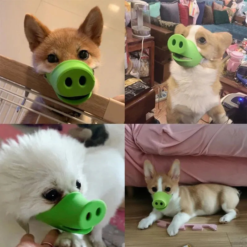 Silicone anti-bite mouth cover for dogs and piggies with long snouts in blue and green colours