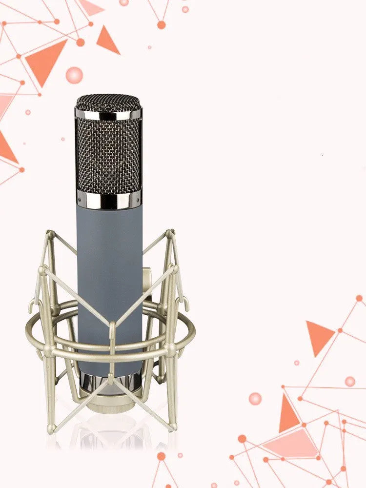 34mm gold diaphragm 48V condenser microphone with shockproof rack, Cannon cable, and aluminium box