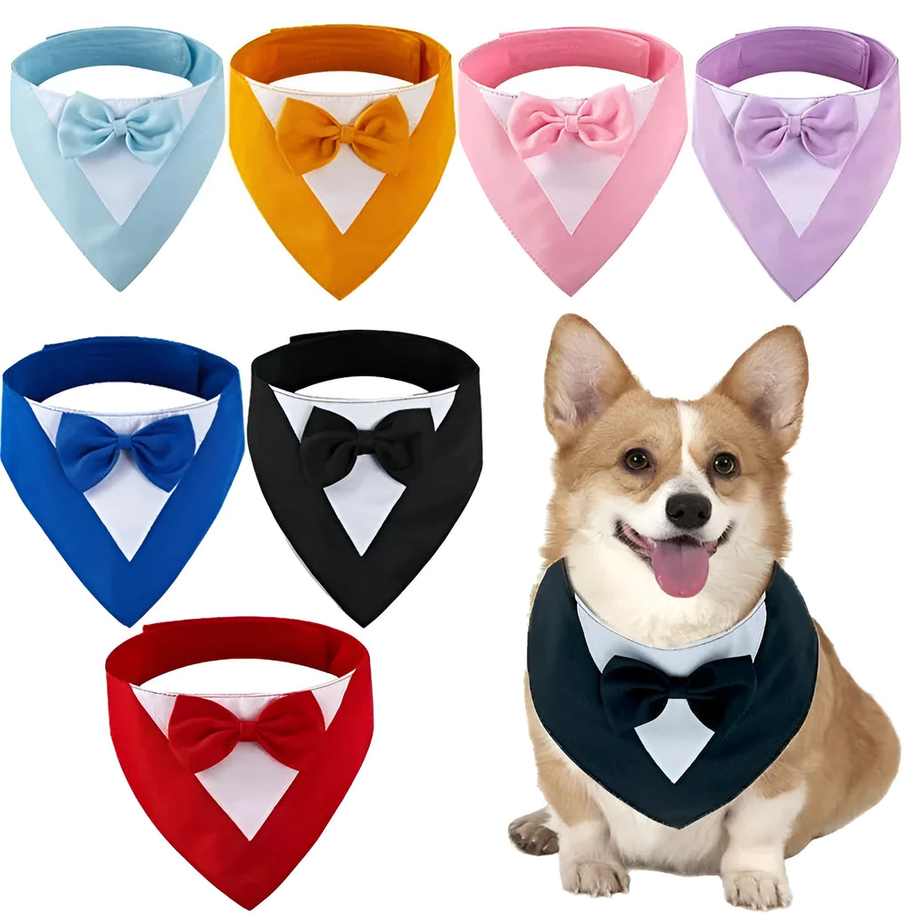 Triangular pet bib scarf on dog with snap fastener closure in multiple colour options