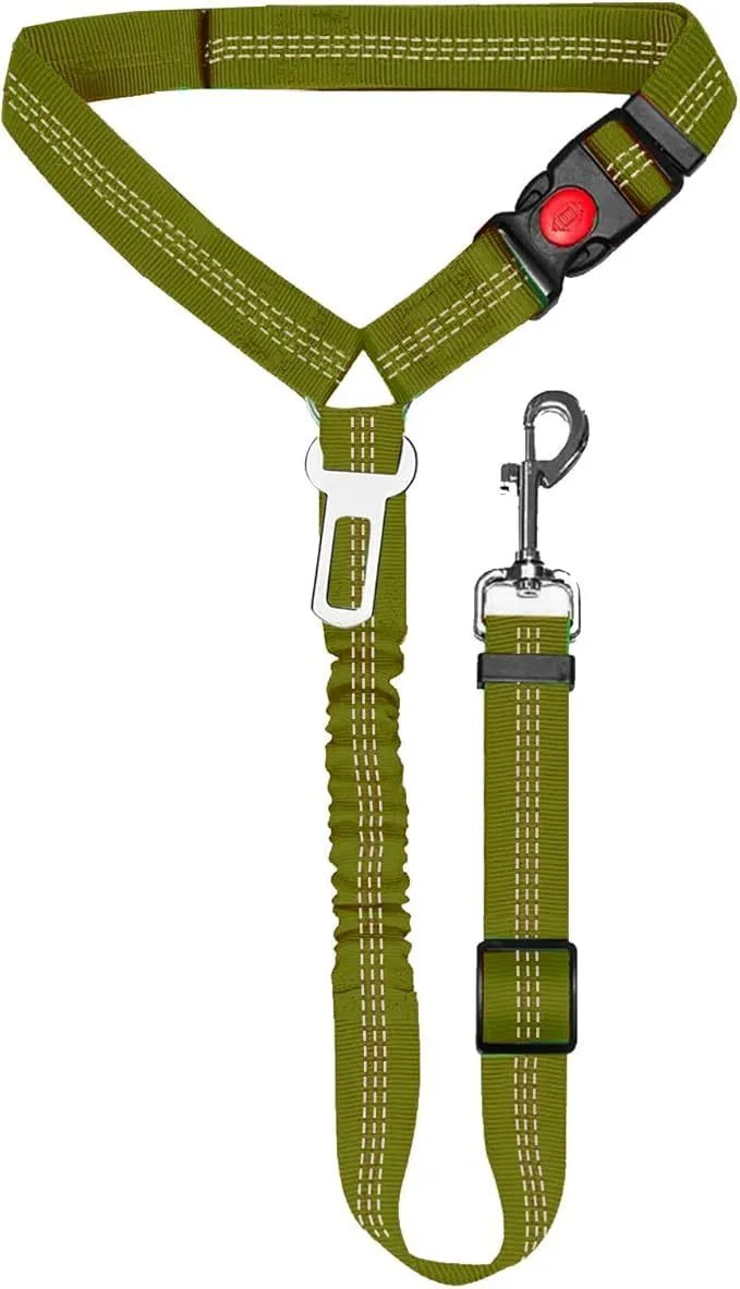 Nylon dog lead with metal buckle in multiple colour options including army green, pink, and dark blue