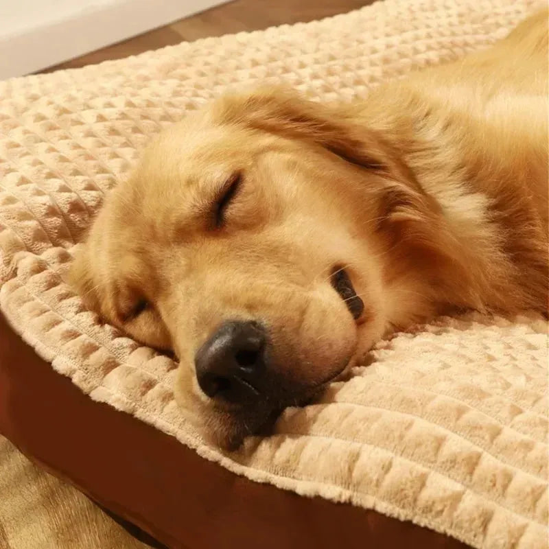 Warm dog bed with removable fleece blanket in coffee colour showing size options M XL XXL XXXL