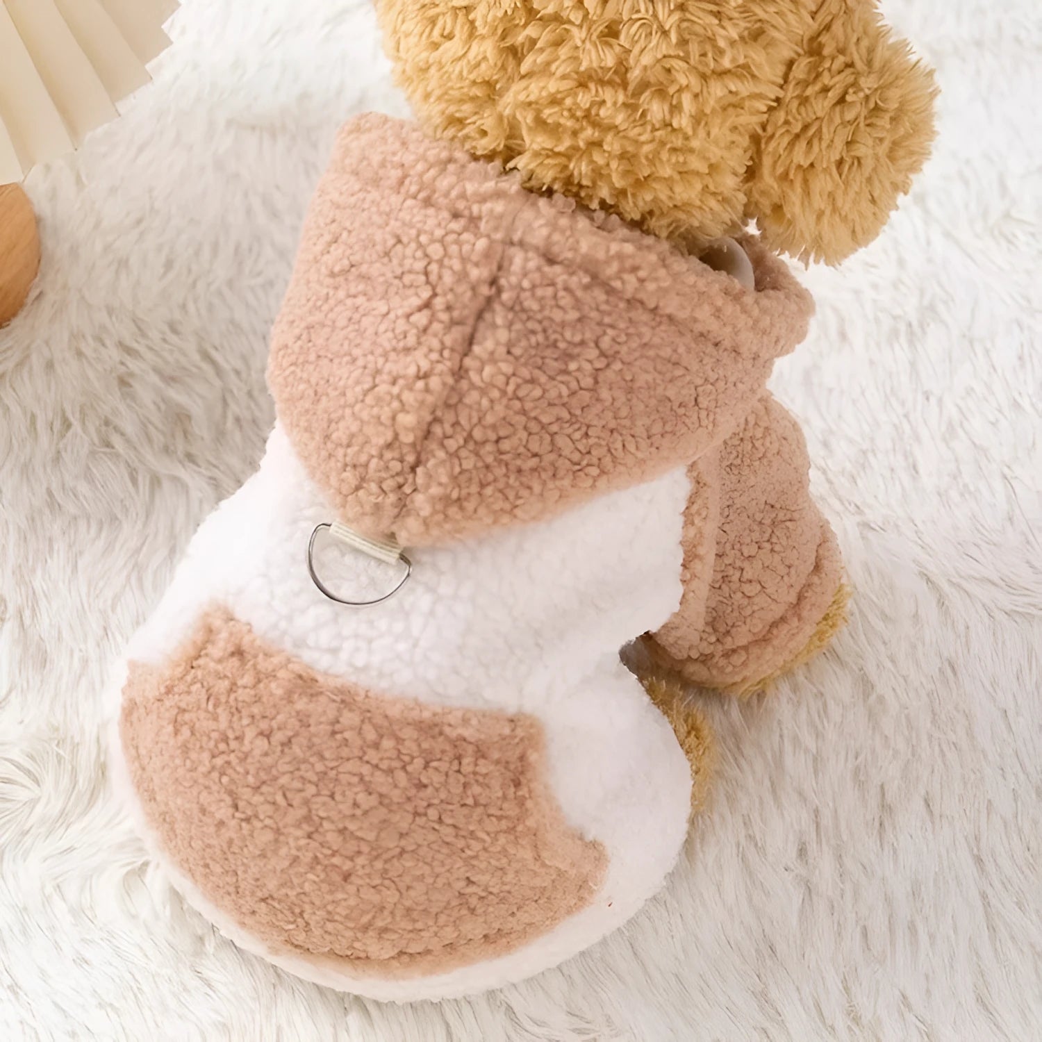 Brown thickened cotton-padded hooded coat on a dog showing hood up and belly fastening