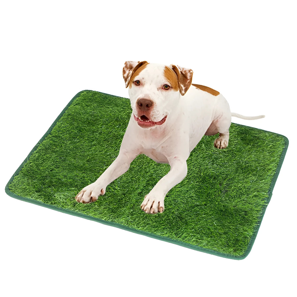 Green dog grass pee pad with realistic texture and drainage layer for pet training
