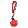 Blue rubber dog ball with rope attachment for tug-of-war and teeth cleaning