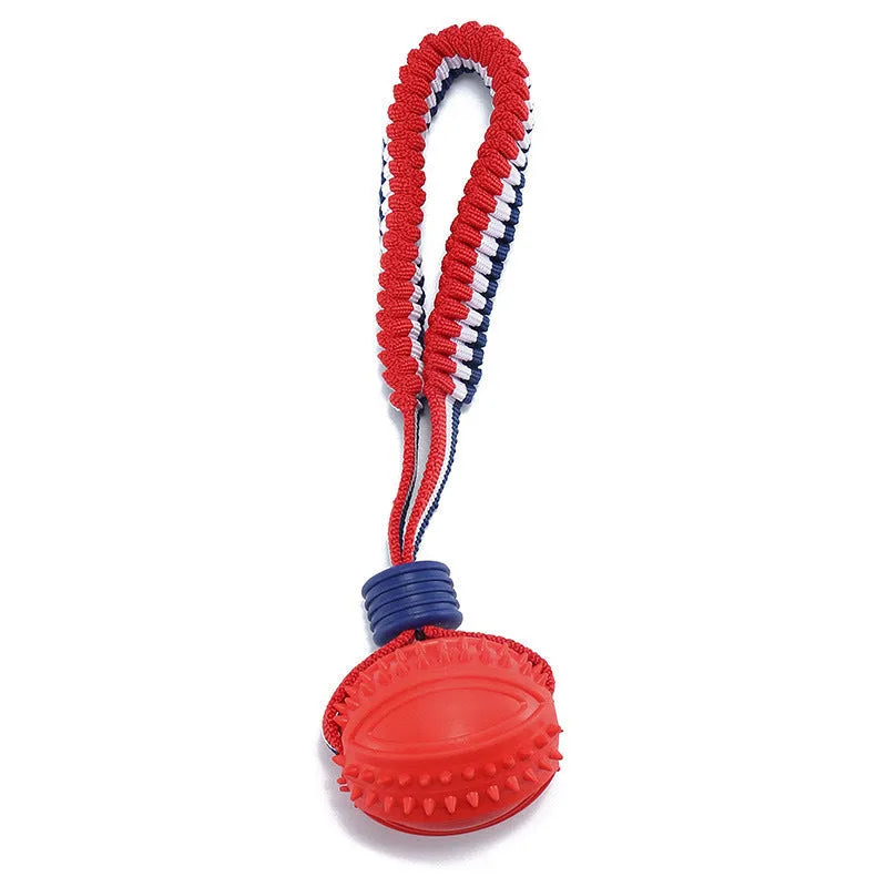 Blue rubber dog ball with rope attachment for tug-of-war and teeth cleaning