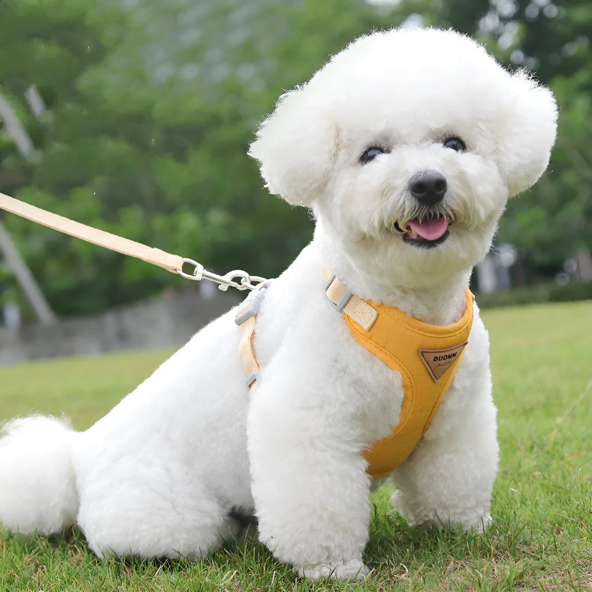 Mesh dog harness and lead set with anti-escape breast strap in green, blue, beige or yellow, sizes XS to L