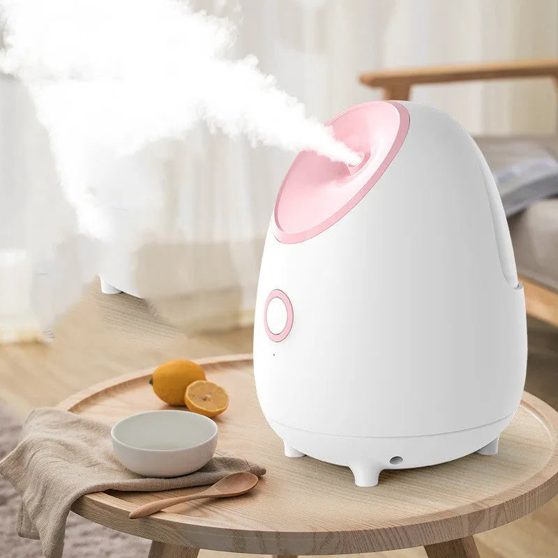 White household facial steamer with hot spray function and polished plastic shell