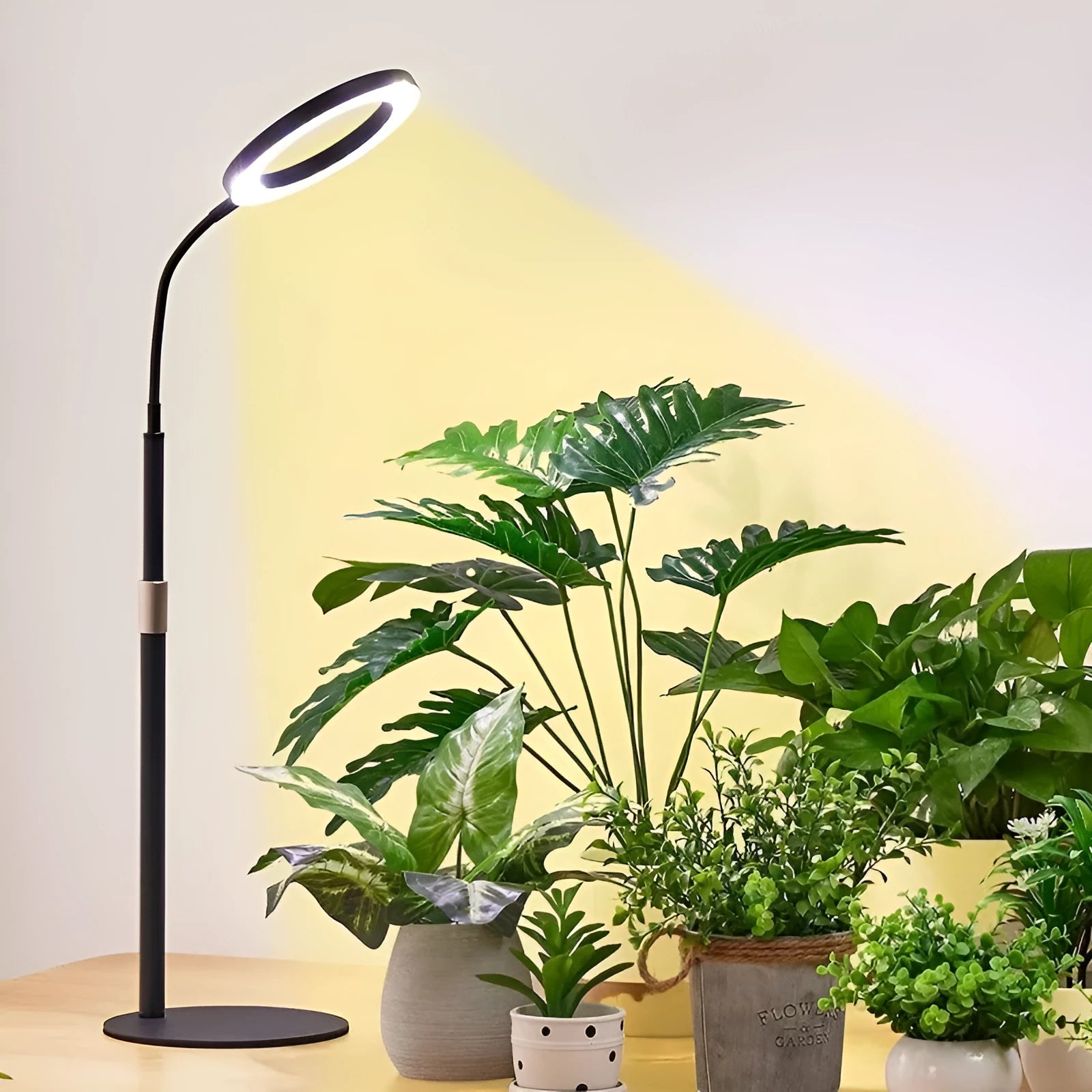 6-inch angel ring retractable floor grow light with aluminium alloy head and adjustable stand