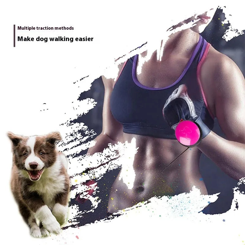 Automatic retractable dog leash with 3 metre nylon cord in six colour options
