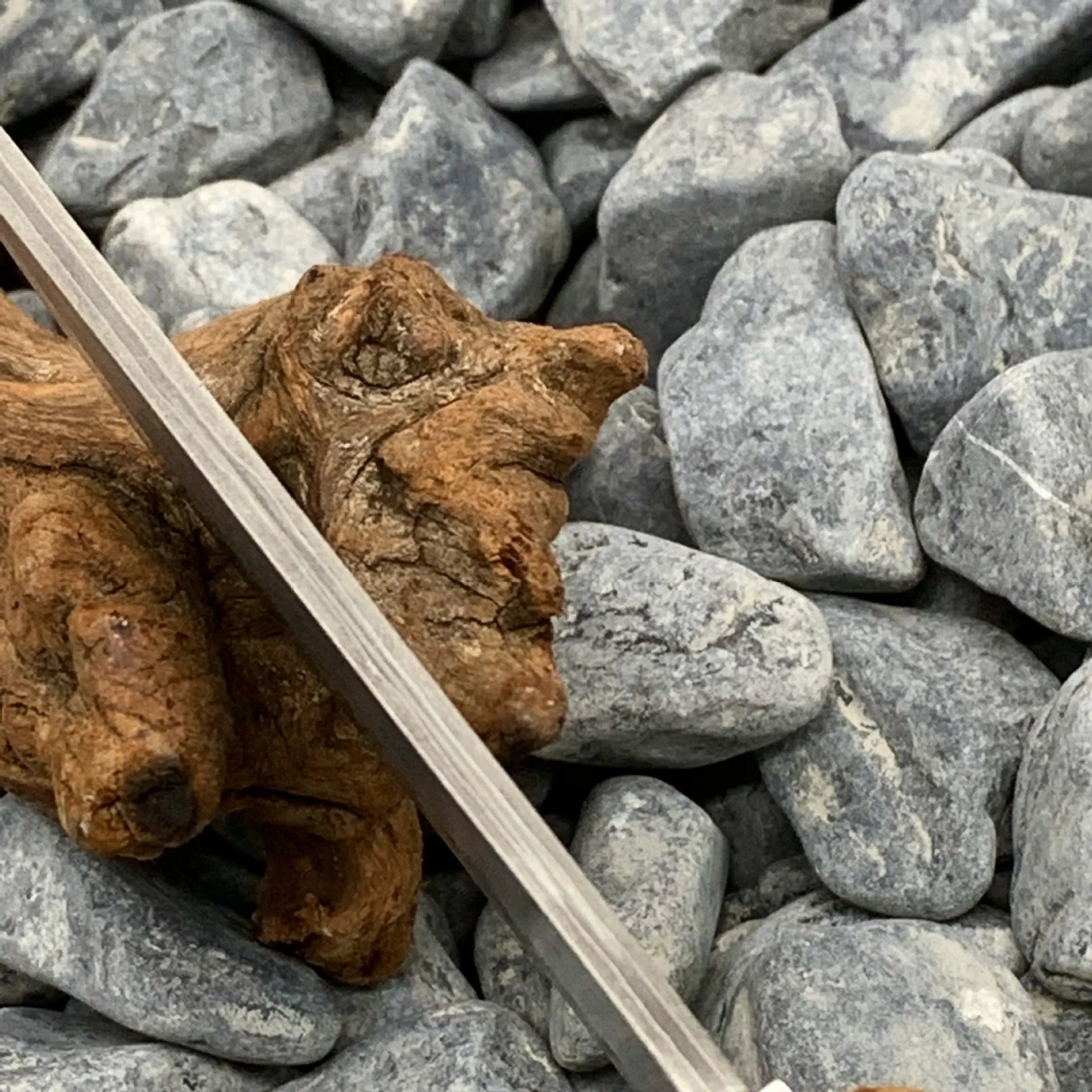 White Shadow short knife with Damascus steel blade and Thuja wood handle, showing full 18cm length.