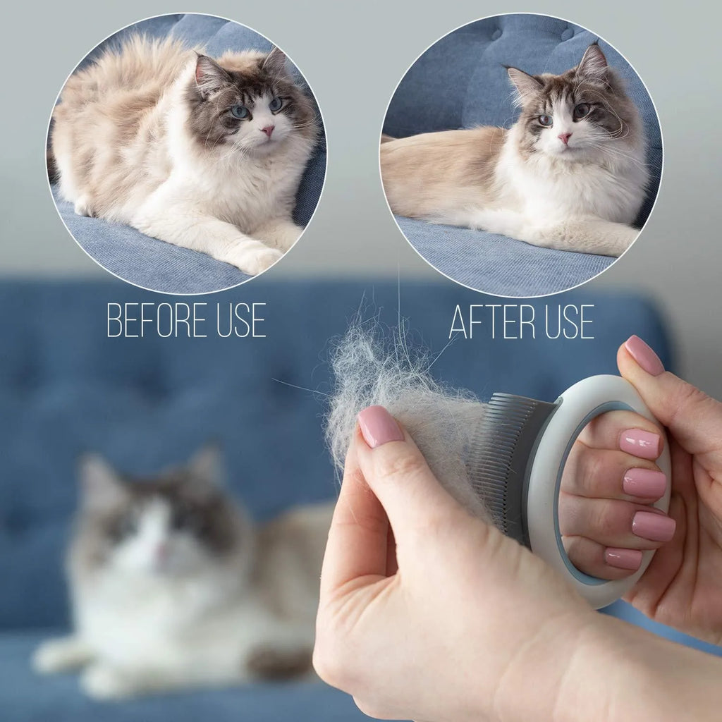 Blue plastic pet grooming comb for cats and dogs on a white background.
