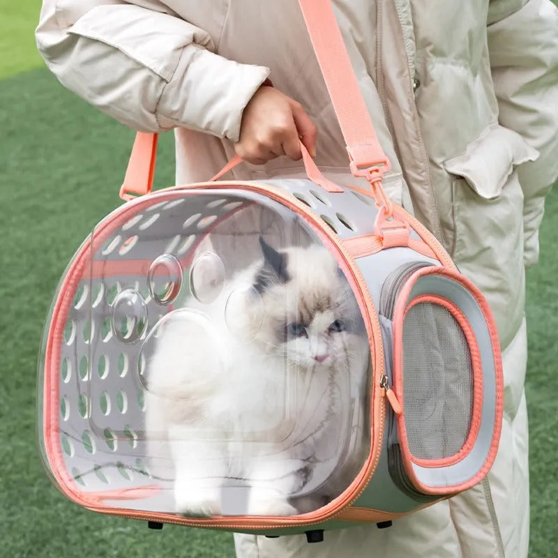 Large transparent hard-shell backpack pet carrier for cats, shown in violet colour.