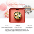 Panda hot pot design car air freshener with clip-on vent mount and diatomaceous earth fragrance tablets