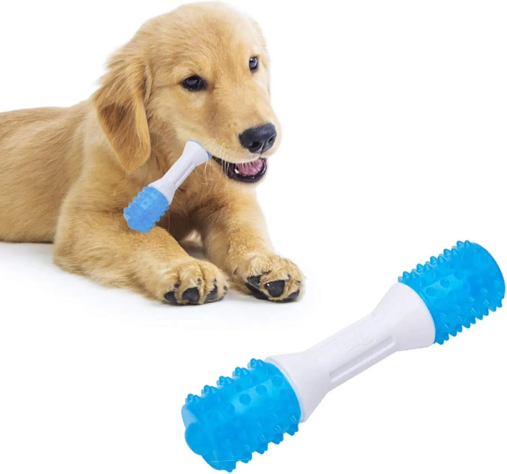 Dual-colour aqua bone puppy teething chew toy made from PU rubber and TPR for dogs 2-8 months old.