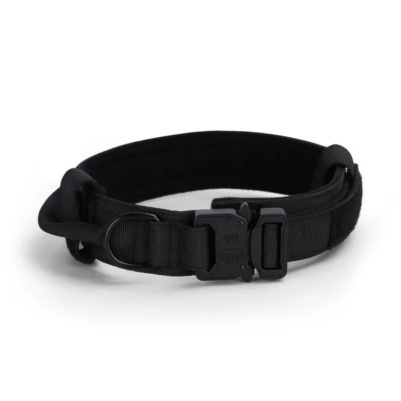 Adjustable military tactical dog collar in nylon webbing with metal buckle, 3.8cm wide, available in multiple colours and sizes