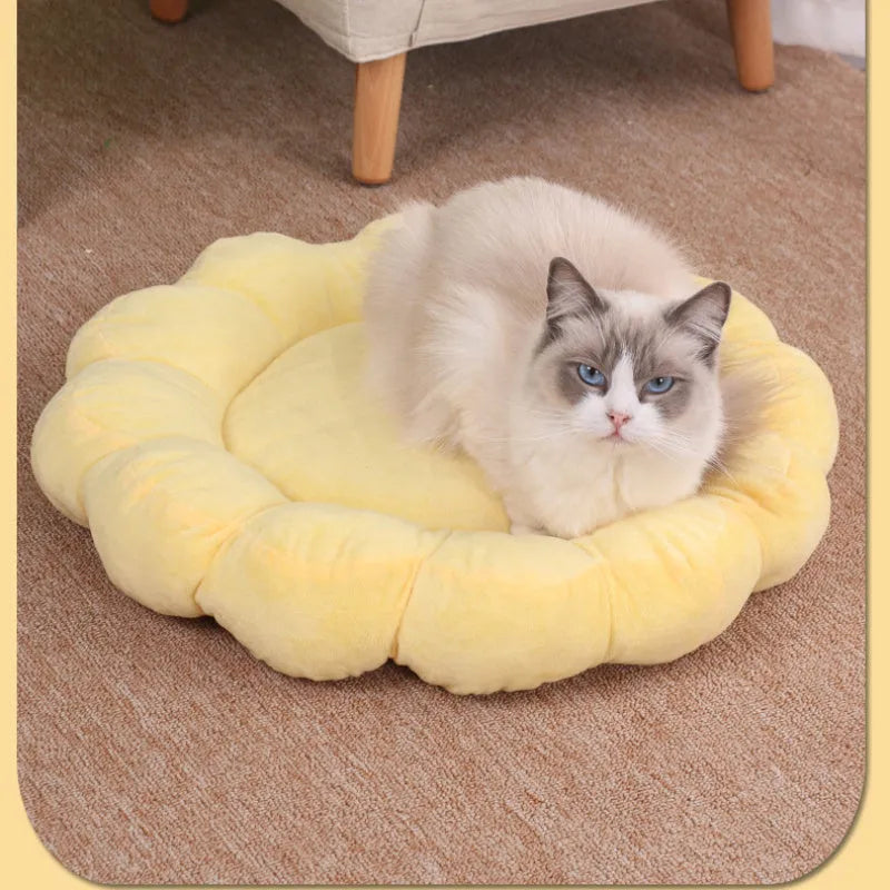Blue half-surrounded petal-shaped pet bed for dogs and cats on a wooden floor