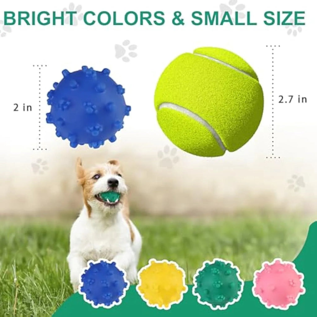 Bright blue, green, pink, and yellow squeaky dog toy balls with a spiky texture and paw print dimples.