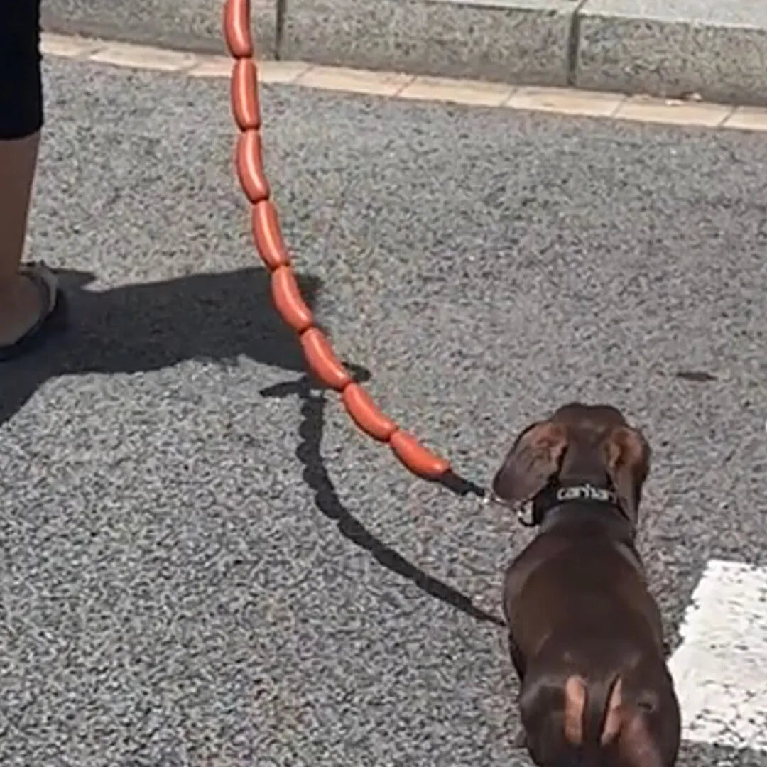 Brown pet training rope with multiple sausage sections and grip tape, measuring 108 cm in total length
