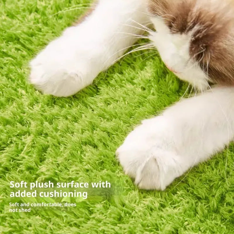 Green avocado-shaped closed cat nest made with PP cotton and bubble velvet for indoor cats