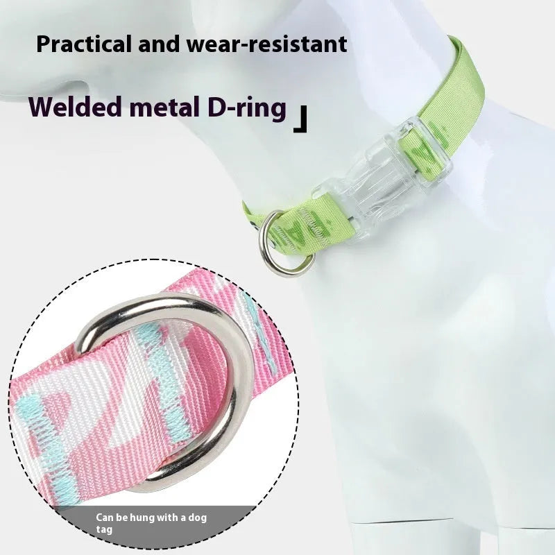 Adjustable nylon dog collar with colourful cartoon gradient print, shown in sizes for small to medium dogs.