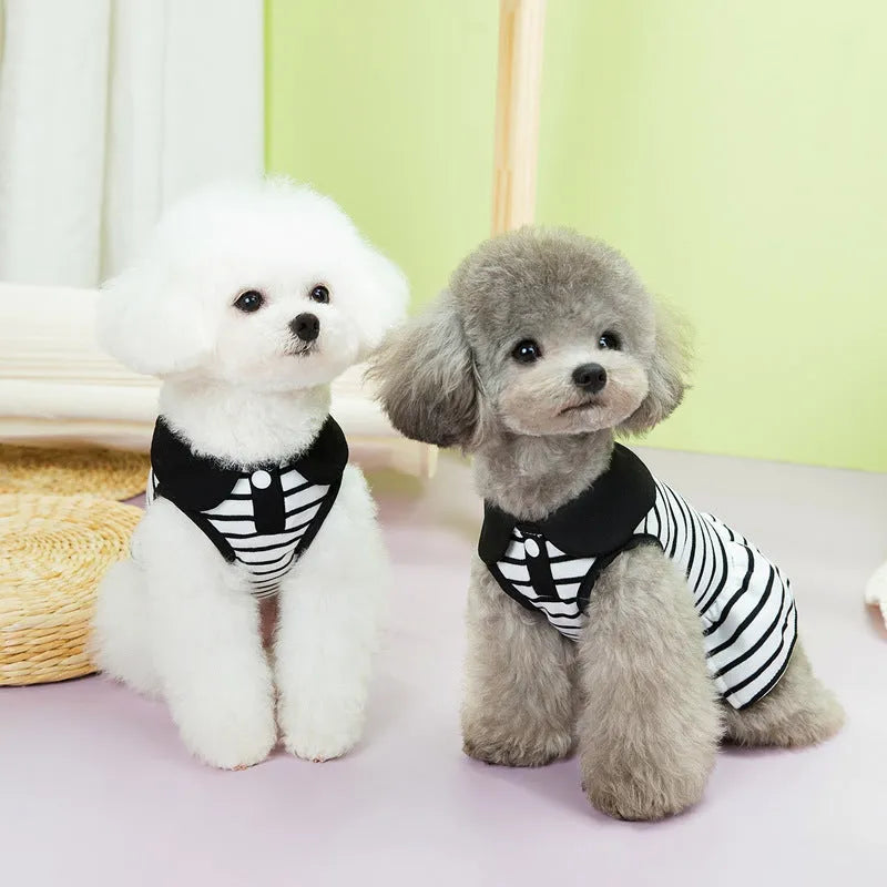 A dog wearing a striped cotton t-shirt and matching skirt summer outfit set.