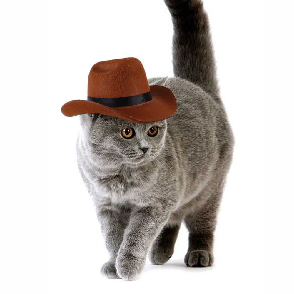 Adjustable dog cowboy hat in black, brown, burgundy, or coffee colours with rounded brim and soft fabric