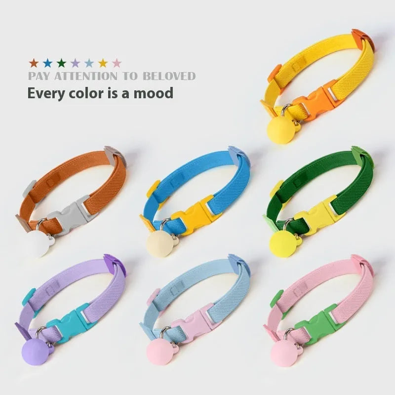 Adjustable high elasticity polyester pet collar for small dogs in seven colour options on a white background.