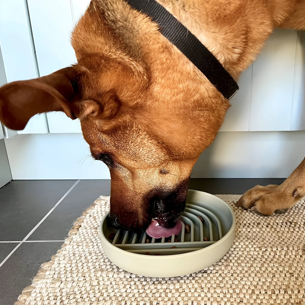 Silicone slow feeder pet bowl for cats and dogs in baby pink, grey, light green, or pink