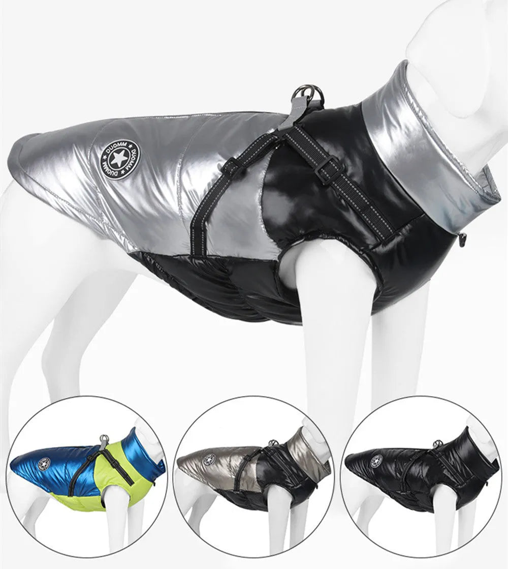 Windproof warm reflective dog coat cotton pet clothing in black on a white background