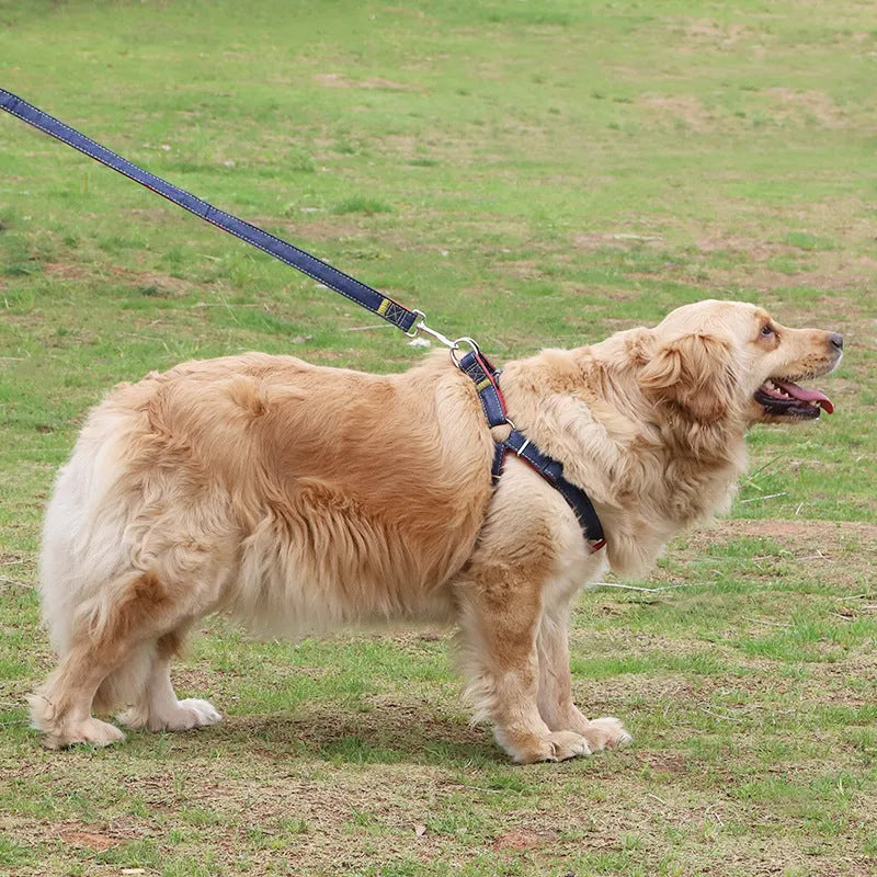 Pipitao denim dog leash with chest and back traction set, available in multiple colours and widths for dog walking