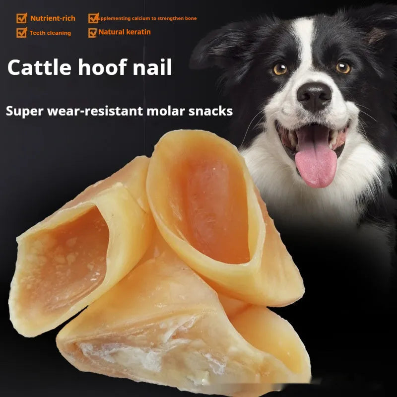 Natural cowhide dog chew grinding rod in hoof shell colour, large size for medium to large dogs.