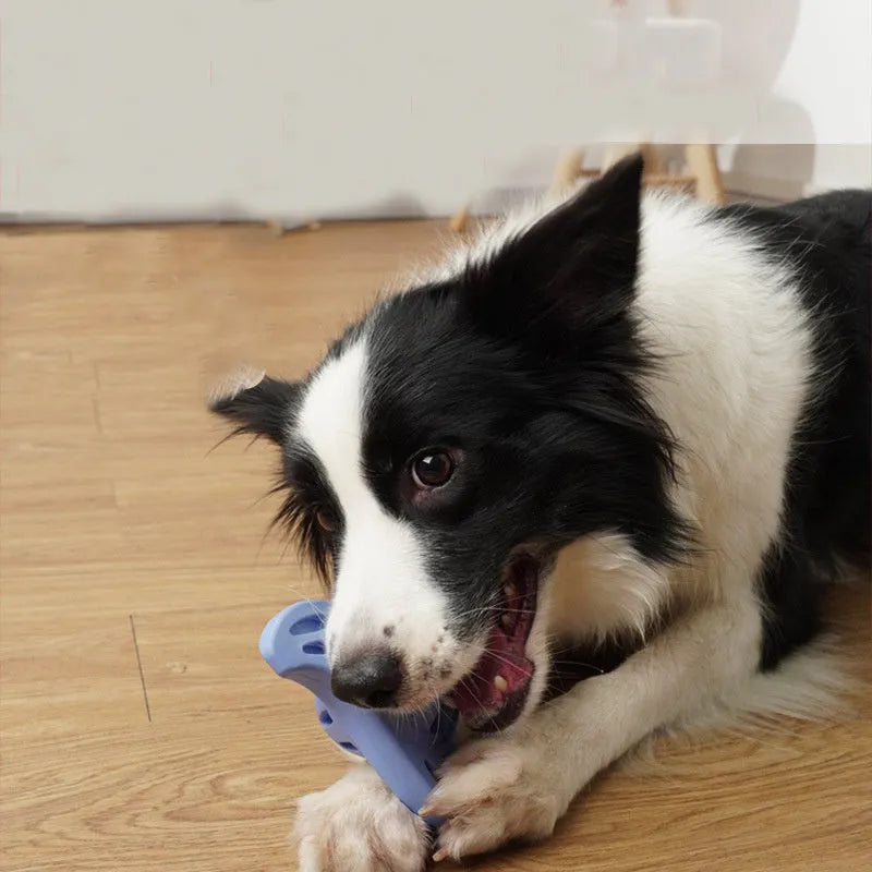 Blue dog boomerang chew toy with molar shape design for medium large breeds