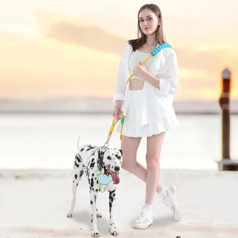 140 cm nylon dog leash with foam anti-slip handle in four colour options