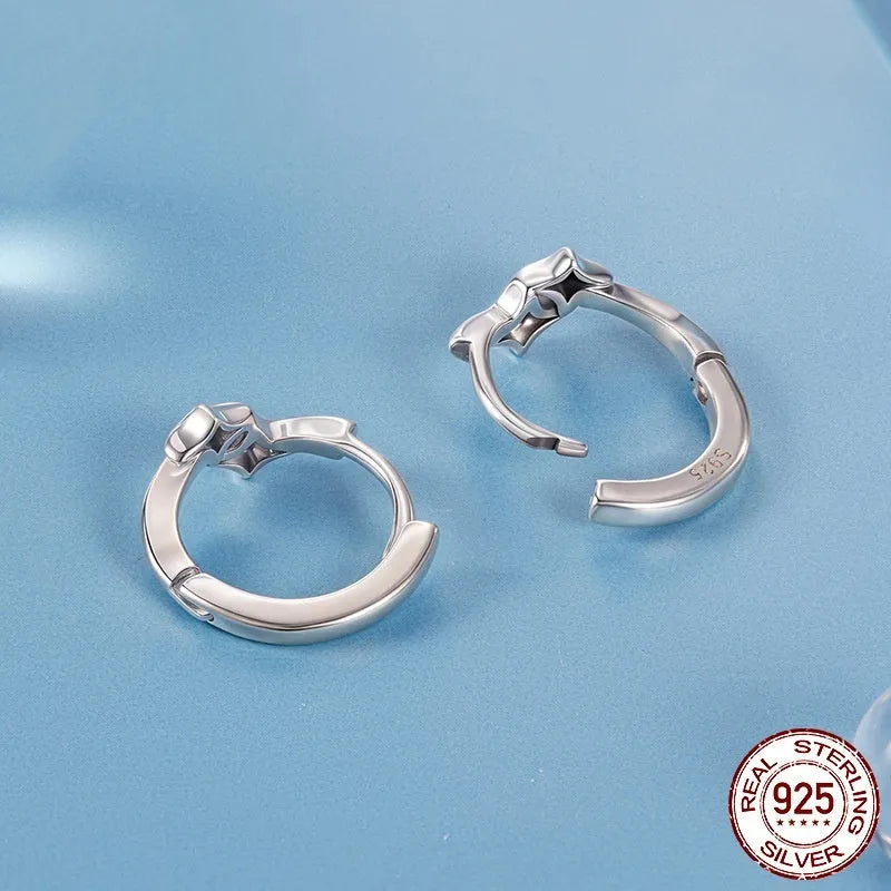 Fashion Star S925 sterling silver earrings with inlaid zircon, colour BSE1210, on display