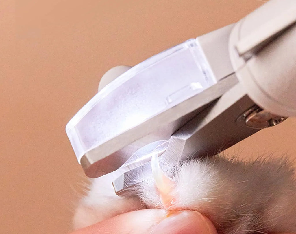 White pet nail clipper with LED light and transparent anti-splash guard on a blue background.