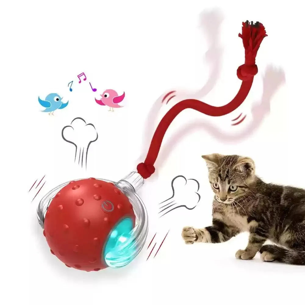 Red interactive cat toy ball with automatic rolling motor for indoor feline entertainment
