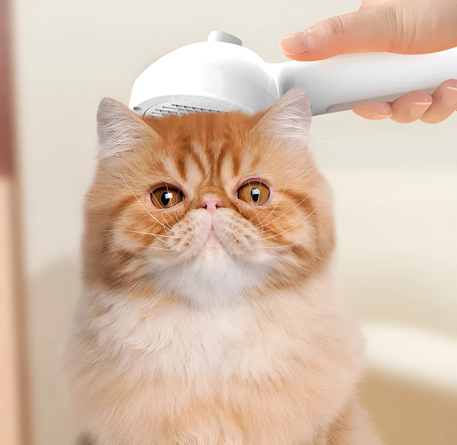 White ABS self-cleaning pet comb with misting function, 20cm, on a light background