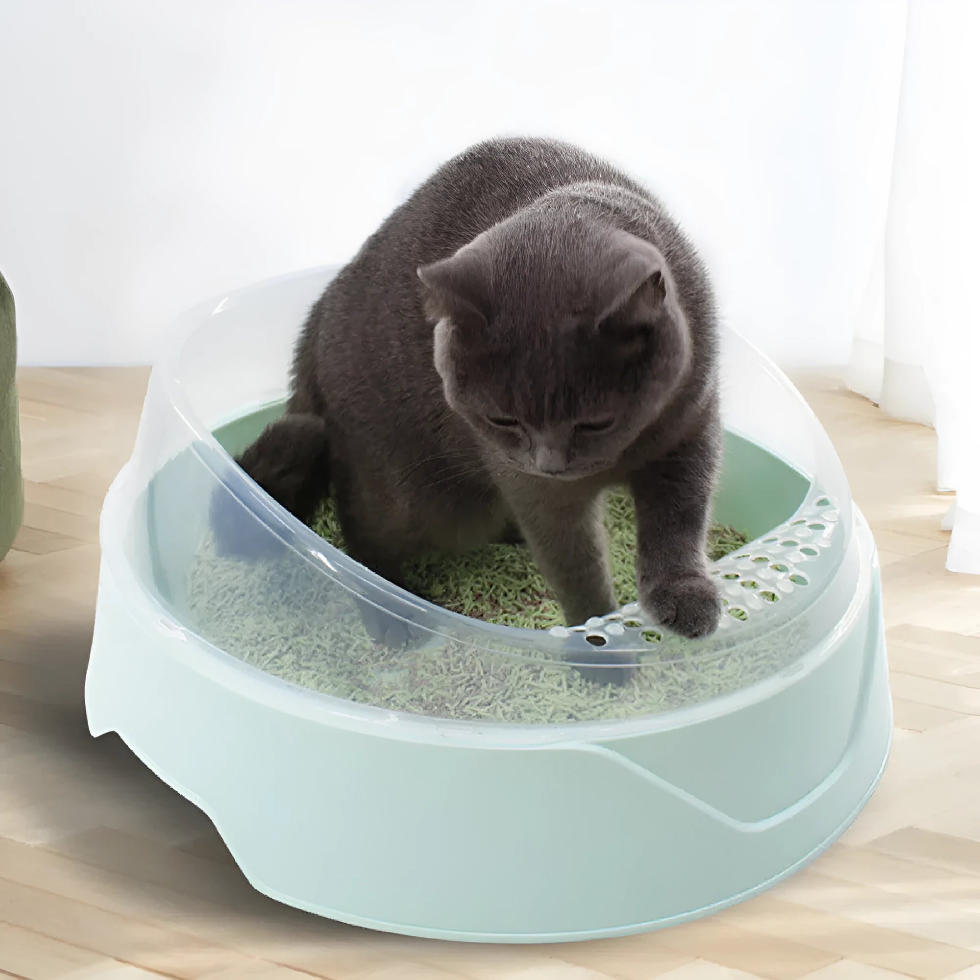 Round hooded cat litter box in mint green colour with deodorising function for indoor feline hygiene