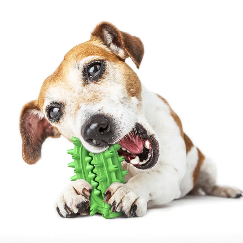 Green cactus-shaped rubber dog chew toy with textured bumps and a central food channel for dental care.