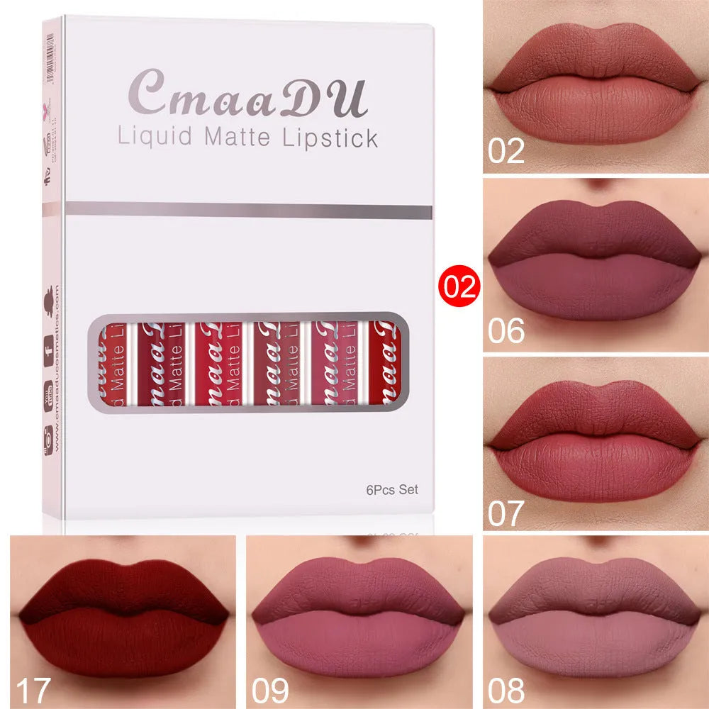 Six matte finish waterproof lip gloss tubes in a box, showing multivitamin formula and 2.5ml size.