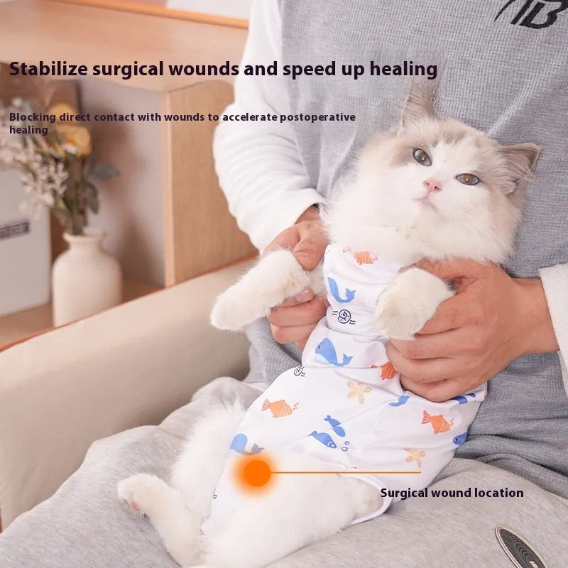 Cat wearing a patterned post-operative recovery suit with Velcro fastenings.
