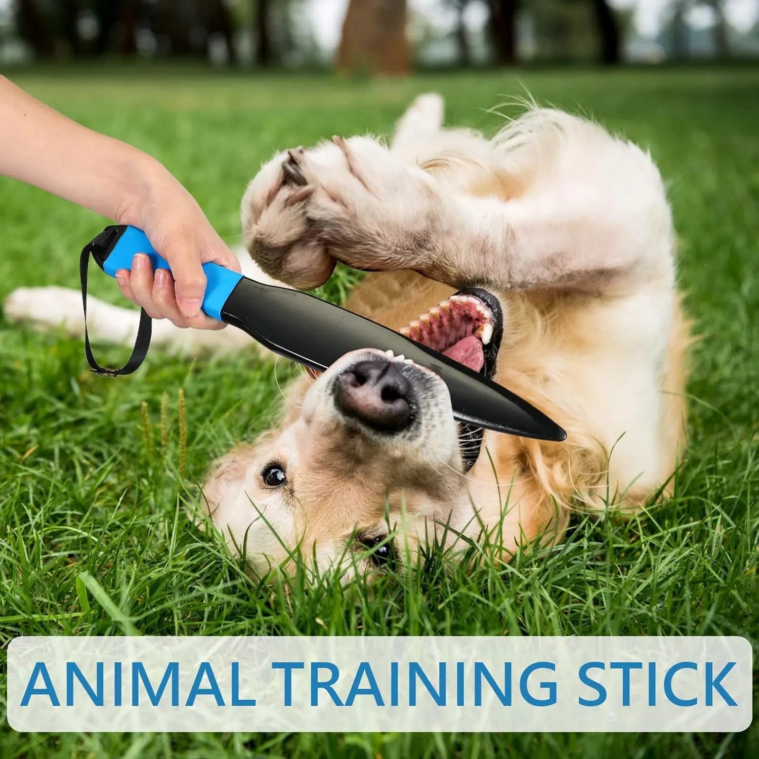 35cm dog training stick with coloured handle for bite training and jaw release