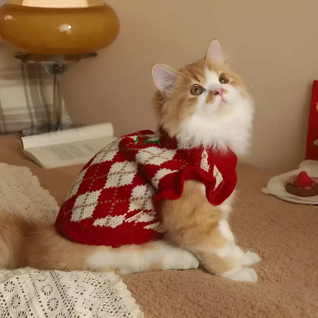 Red cat sweater with rhombic embroidery cherry design showing front view with size label