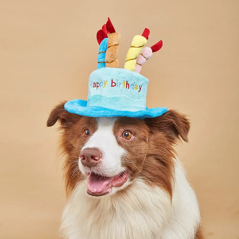 Blue and pink dog birthday hats for canine birthday party celebrations