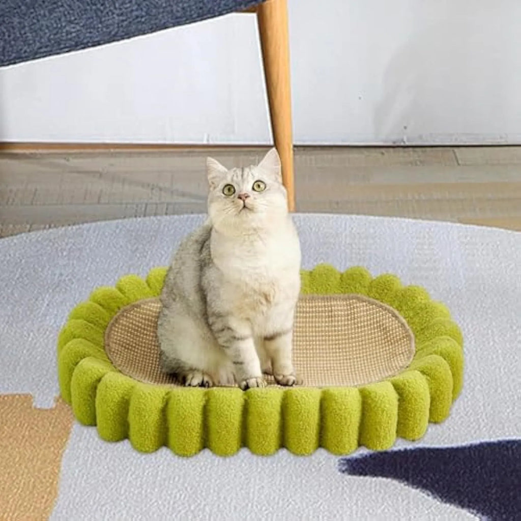 Green oval cat scratch pad bowl bed with sisal scratching surface
