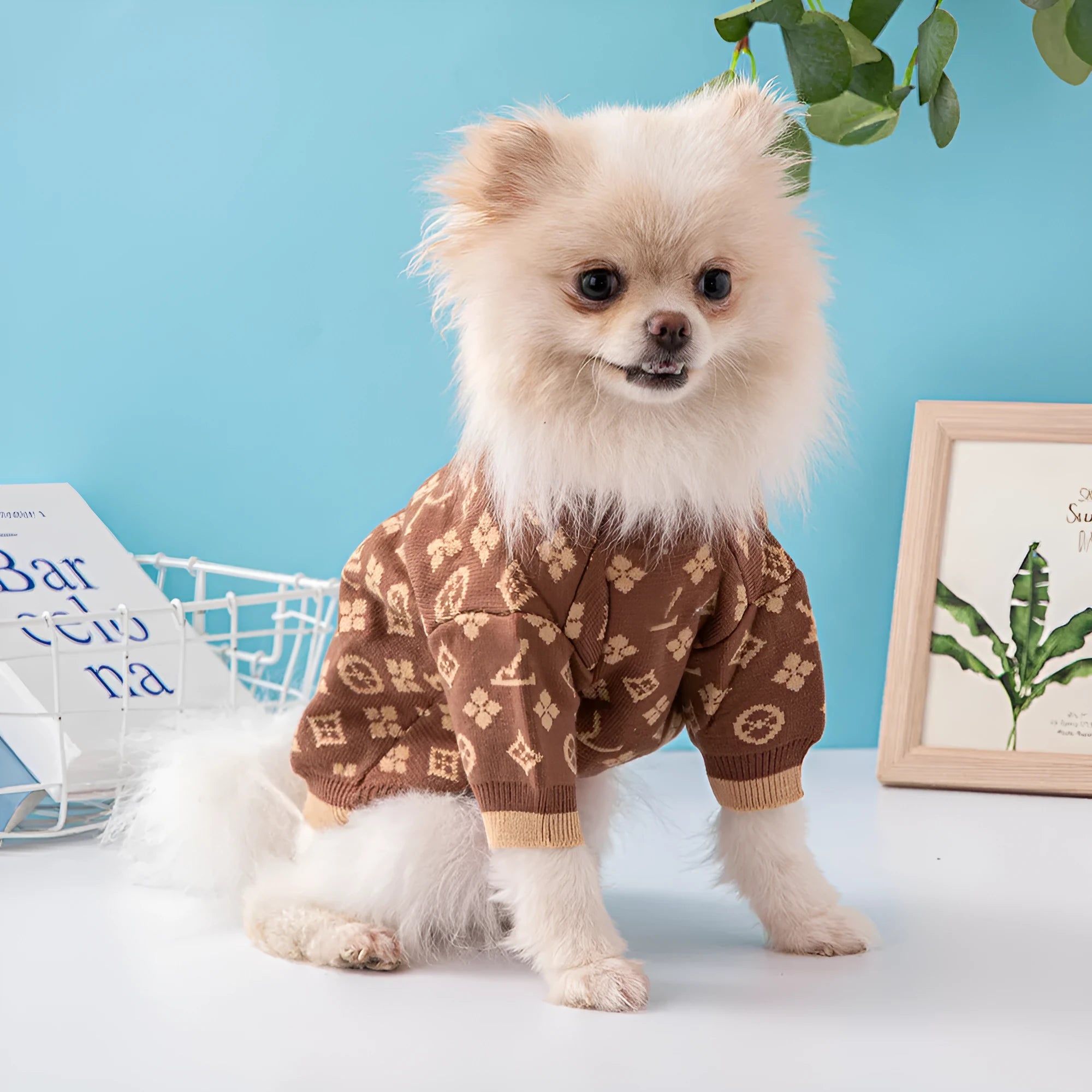 A thick wool dog sweater for autumn and winter in a monochrome colour.